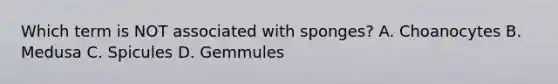 Which term is NOT associated with sponges? A. Choanocytes B. Medusa C. Spicules D. Gemmules