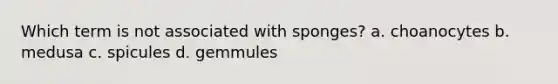 Which term is not associated with sponges? a. choanocytes b. medusa c. spicules d. gemmules