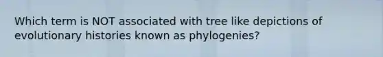 Which term is NOT associated with tree like depictions of evolutionary histories known as phylogenies?