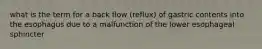 what is the term for a back flow (reflux) of gastric contents into the esophagus due to a malfunction of the lower esophageal sphincter