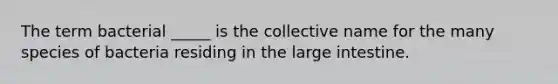 The term bacterial _____ is the collective name for the many species of bacteria residing in the <a href='https://www.questionai.com/knowledge/kGQjby07OK-large-intestine' class='anchor-knowledge'>large intestine</a>.