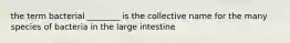 the term bacterial ________ is the collective name for the many species of bacteria in the large intestine