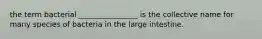 the term bacterial ________________ is the collective name for many species of bacteria in the large intestine.