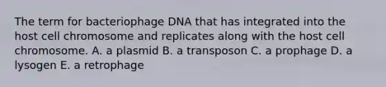 The term for bacteriophage DNA that has integrated into the host cell chromosome and replicates along with the host cell chromosome. A. a plasmid B. a transposon C. a prophage D. a lysogen E. a retrophage