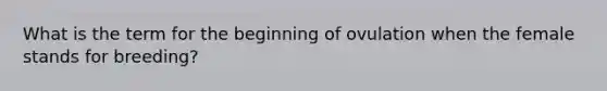 What is the term for the beginning of ovulation when the female stands for breeding?