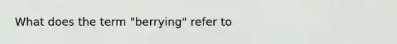 What does the term "berrying" refer to