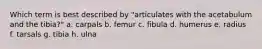 Which term is best described by "articulates with the acetabulum and the tibia?" a. carpals b. femur c. fibula d. humerus e. radius f. tarsals g. tibia h. ulna