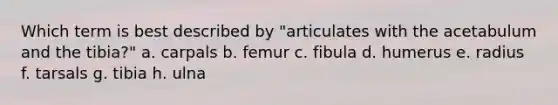 Which term is best described by "articulates with the acetabulum and the tibia?" a. carpals b. femur c. fibula d. humerus e. radius f. tarsals g. tibia h. ulna