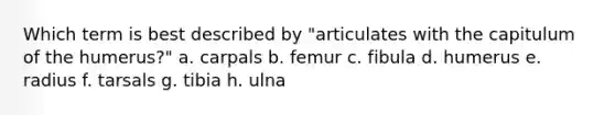 Which term is best described by "articulates with the capitulum of the humerus?" a. carpals b. femur c. fibula d. humerus e. radius f. tarsals g. tibia h. ulna