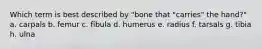 Which term is best described by "bone that "carries" the hand?" a. carpals b. femur c. fibula d. humerus e. radius f. tarsals g. tibia h. ulna