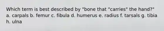 Which term is best described by "bone that "carries" the hand?" a. carpals b. femur c. fibula d. humerus e. radius f. tarsals g. tibia h. ulna