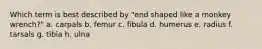 Which term is best described by "end shaped like a monkey wrench?" a. carpals b. femur c. fibula d. humerus e. radius f. tarsals g. tibia h. ulna