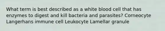 What term is best described as a white blood cell that has enzymes to digest and kill bacteria and parasites? Corneocyte Langerhans immune cell Leukocyte Lamellar granule