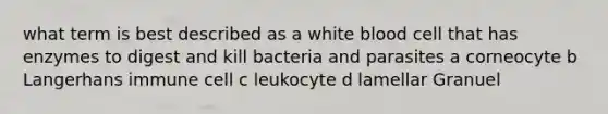 what term is best described as a white blood cell that has enzymes to digest and kill bacteria and parasites a corneocyte b Langerhans immune cell c leukocyte d lamellar Granuel