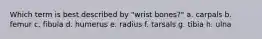 Which term is best described by "wrist bones?" a. carpals b. femur c. fibula d. humerus e. radius f. tarsals g. tibia h. ulna