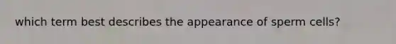 which term best describes the appearance of sperm cells?