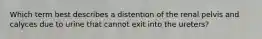 ​Which term best describes a distention of the renal pelvis and calyces due to urine that cannot exit into the ureters?