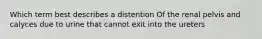 Which term best describes a distention Of the renal pelvis and calyces due to urine that cannot exit into the ureters