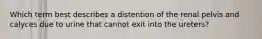 Which term best describes a distention of the renal pelvis and calyces due to urine that cannot exit into the ureters?