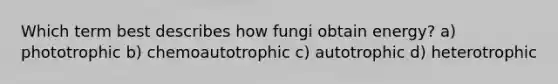 Which term best describes how fungi obtain energy? a) phototrophic b) chemoautotrophic c) autotrophic d) heterotrophic