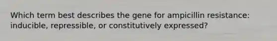 Which term best describes the gene for ampicillin resistance: inducible, repressible, or constitutively expressed?