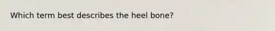 Which term best describes the heel bone?