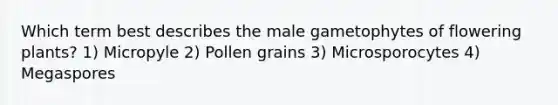 Which term best describes the male gametophytes of flowering plants? 1) Micropyle 2) Pollen grains 3) Microsporocytes 4) Megaspores