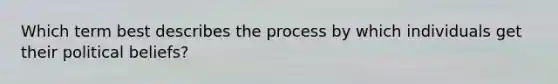 Which term best describes the process by which individuals get their political beliefs?