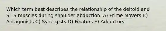 Which term best describes the relationship of the deltoid and SITS muscles during shoulder abduction. A) Prime Movers B) Antagonists C) Synergists D) Fixators E) Adductors