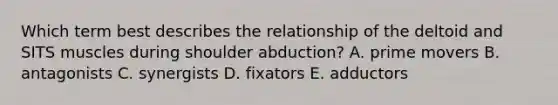 Which term best describes the relationship of the deltoid and SITS muscles during shoulder abduction? A. prime movers B. antagonists C. synergists D. fixators E. adductors