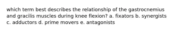 which term best describes the relationship of the gastrocnemius and gracilis muscles during knee flexion? a. fixators b. synergists c. adductors d. prime movers e. antagonists