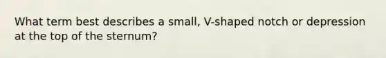 What term best describes a small, V-shaped notch or depression at the top of the sternum?