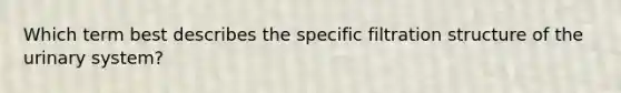 ​Which term best describes the specific filtration structure of the urinary system?