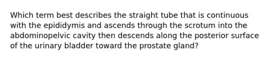 Which term best describes the straight tube that is continuous with the epididymis and ascends through the scrotum into the abdominopelvic cavity then descends along the posterior surface of the urinary bladder toward the prostate gland?