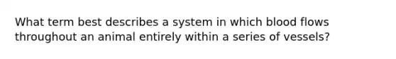 What term best describes a system in which blood flows throughout an animal entirely within a series of vessels?