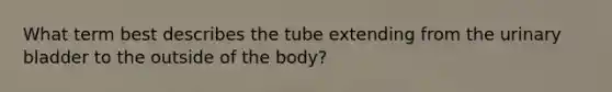 What term best describes the tube extending from the urinary bladder to the outside of the body?