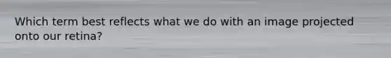Which term best reflects what we do with an image projected onto our retina?