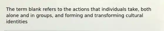 The term blank refers to the actions that individuals take, both alone and in groups, and forming and transforming cultural identities