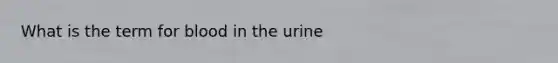 What is the term for blood in the urine