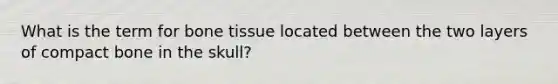 What is the term for bone tissue located between the two layers of compact bone in the skull?