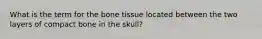 What is the term for the bone tissue located between the two layers of compact bone in the skull?