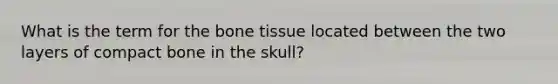 What is the term for the bone tissue located between the two layers of compact bone in the skull?