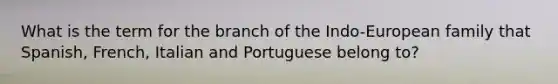 What is the term for the branch of the Indo-European family that Spanish, French, Italian and Portuguese belong to?