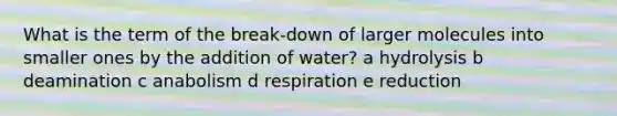 What is the term of the break-down of larger molecules into smaller ones by the addition of water? a hydrolysis b deamination c anabolism d respiration e reduction