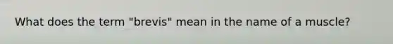 What does the term "brevis" mean in the name of a muscle?
