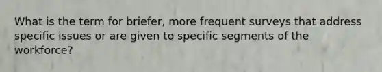 What is the term for briefer, more frequent surveys that address specific issues or are given to specific segments of the workforce?