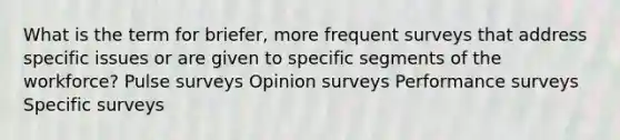 What is the term for briefer, more frequent surveys that address specific issues or are given to specific segments of the workforce? Pulse surveys Opinion surveys Performance surveys Specific surveys