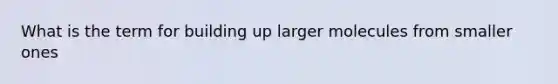 What is the term for building up larger molecules from smaller ones