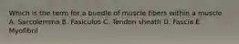 Which is the term for a bundle of muscle fibers within a muscle A. Sarcolemma B. Fasiculus C. Tendon sheath D. Fascia E. Myofibril