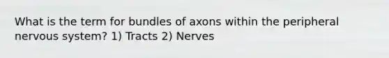 What is the term for bundles of axons within the peripheral nervous system? 1) Tracts 2) Nerves